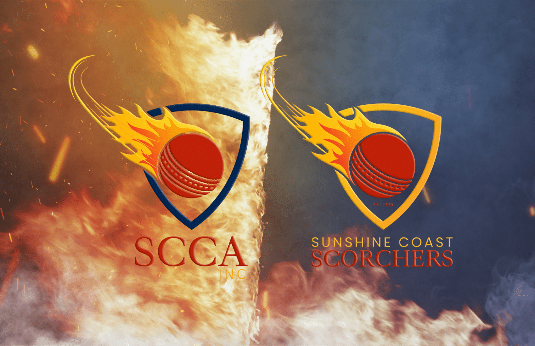 Sunshine Coast Logo Designer